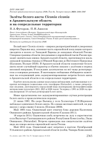 Залёты белого аиста Ciconia ciconia в Архангельскую область и на сопредельные территории
