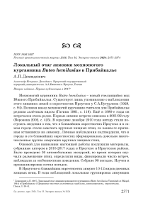 Локальный очаг зимовки мохноногого курганника Buteo hemilasius в Прибайкалье