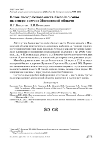Новое гнездо белого аиста Ciconia ciconia на северо-востоке Московской области