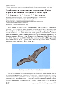 Особенности гнездования курганника Buteo rufinus на востоке Ставропольского края