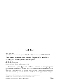 Попытка пингвинов Адели Pygoscelis adeliae высидеть птенцов на айсберге
