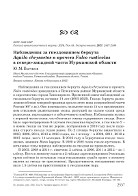 Наблюдения за гнездованием беркута Aquila chrysaetos и кречета Falco rusticolus в северо-западной части Мурманской области