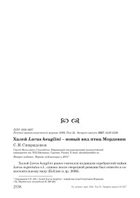 Халей Larus heuglini – новый вид птиц Мордовии