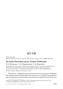 Кулики бассейна реки Агапы (Таймыр)
