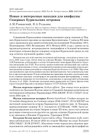 Новые и интересные находки для авифауны Северных Курильских островов