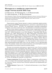 Материалы к авифауне окрестностей озера Эльтон весной 2025 года