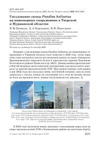 Гнездование скопы Pandion haliaetus на инженерных сооружениях в Тверской и Мурманской областях