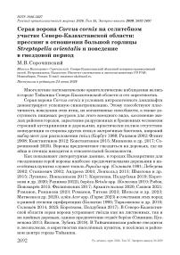 Серая ворона Corvus cornix на селитебном участке Северо-Казахстанской области: прессинг в отношении большой горлицы Streptopelia orientalis и поведение в гнездовой период