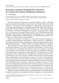 Большая горлица Streptopelia orientalis на северо-восточном побережье Байкала