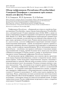 Обзор тайфунников Pterodroma (Procellariidae) Северной Пацифики с указанием трёх новых видов для фауны России