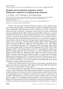 Первая регистрация зимовки чомги Podiceps cristatus в Тамбовской области
