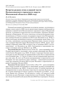 Встречи редких птиц в южной части Волоколамского городского округа Московской области в 2026 году