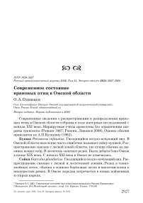 Современное состояние врановых птиц в Омской области