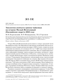 Эпизоотия птичьего гриппа чайковых на острове Малый Жемчужный (Каспийское море) в 2022 году
