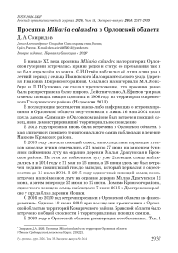 Просянка Miliaria calandra в Орловской области