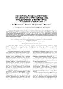 Эффективная редукция опухоли при экспериментальном лейкозе под действием циклофосфана и лазерного облучения