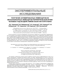 Получение активированных лимфоцитов из мононуклеарных лейкоцитов периферической крови человека под воздействием альфа-фетопротеина