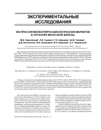 Экспрессия молекулярно-биологических маркеров в опухолях молочной железы