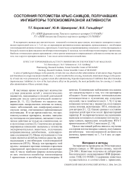 Состояния потомства крыс-самцов, получавших ингибиторы топоизомеразной активности