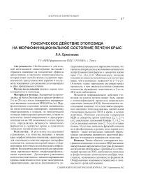 Токсическое действие этопозида на морфофункциональное состояние печени крыс