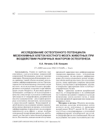 Исследование остеогенного потенциала мезенхимных клеток костного мозга животных при воздействии различных факторов остеогенеза