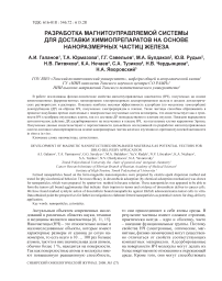 Разработка магнитоуправляемой системы для доставки химиопрепаратов на основе наноразмерных частиц железа