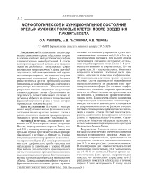 Морфологическое и функциональное состояние зрелых мужских половых клеток после введения паклитаксела