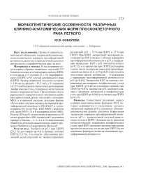 Морфогенетические особенности различных клинико-анатомических форм плоскоклеточного рака легкого