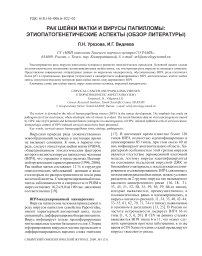 Рак шейки матки и вирусы папилломы: этиопатогенетические аспекты (обзор литературы)