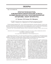 Прогностическая роль и молекулярно-биологические аспекты формирования капсулы гепатоцеллюлярной карциномы: обзор литературы