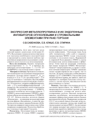 Экспрессия металлопротеиназ и их эндогенных ингибиторов опухолевыми и стромальными элементами при раке гортани