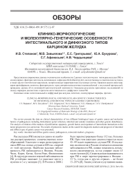 Клинико-морфологические и молекулярно-генетические особенности интестинального и диффузного типа карцином желудка