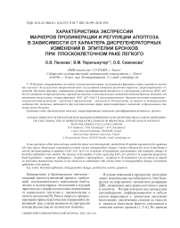 Характеристика экспрессии маркеров пролиферации и регуляции апоптоза в зависимости от характера дисрегенераторных изменений в эпителии бронхов при плоскоклеточном раке легкого