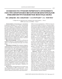 Особенности строения первичного опухолевого узла при синхронном и метахронном билатеральном инвазивном протоковом раке молочных желез