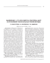 Выявление H. pylori и вируса Эпштейна-Барр в опухолевой ткани больных раком желудка