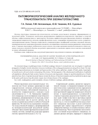 Патоморфологический анализ желудочного трансплантата при эзофагопластике