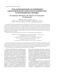 Роль инфекционной составляющей и воспалительного инфильтрата в патогенезе рака желудка