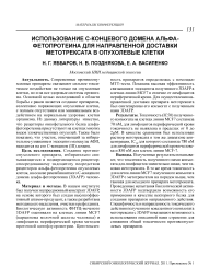 Использование с-концевого домена альфа-фетопротеина для направленной доставки метотрексата в опухолевые клетки