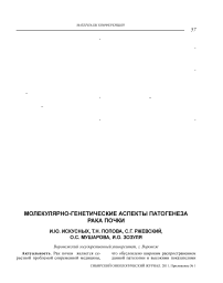 Молекулярно-генетические аспекты патогенеза рака почки