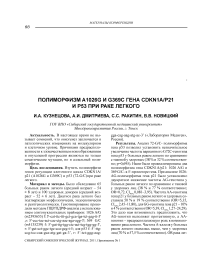 Полиморфизм A1026G и G369C гена CDKN1A/p21 и р53 при раке легкого