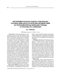 Экспериментальная оценка отдаленных последствий цитостатических воздействий на неполовозрелые мужские гонады и способы их снижения