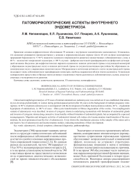 Патоморфологические аспекты внутреннего эндометриоза