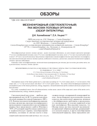 Мезонефроидный (светлоклеточный) рак женских половых органов (обзор литературы)