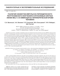 Различия эффектов импульсно-периодического рентгеновского излучения в опухолевых клетках линии MOLT-4 и лимфоцитах периферической крови человека