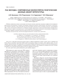 Рак желудка: современные молекулярно-генетические данные (обзор литературы)