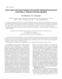 Опыт диагностики редких опухолей пищеварительной системы у лабораторных мышей