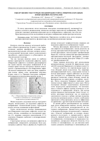 Обнаружение текстурных неоднородностей на микромасштабных изображениях материалов