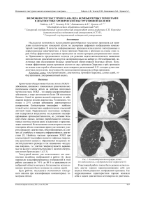 Возможности текстурного анализа компьютерных томограмм в диагностике хронической обструктивной болезни