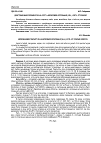 Действие микроэлементов на рост Laricifomes officinalis (Vill.) Kotl. et Pouzar