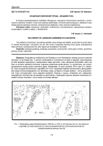 Концепция озеленения г. Владивостока